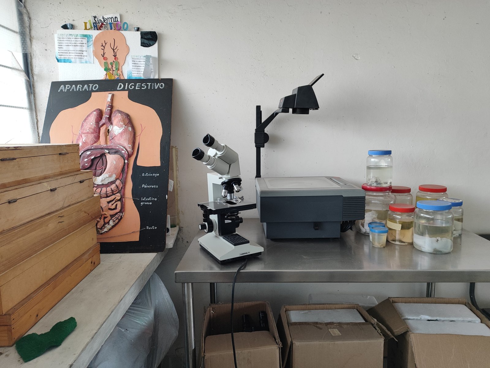Laboratorio de Ciencias